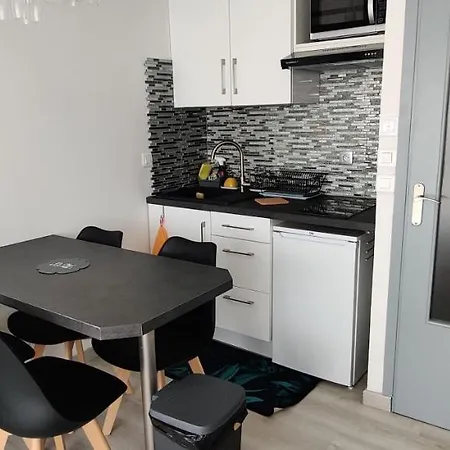 New ! Le Goeland Apartment